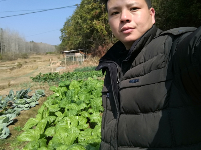 倔强的驴的第一张照片--宁德相亲网