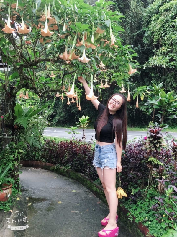 离异单身无子的第二张照片--宁德相亲网