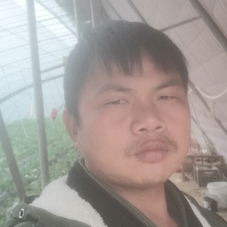 孤狼‘的第一张照片--宁德相亲网