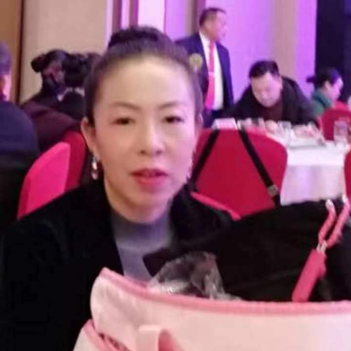 中秋桂花玉兔的第四张照片--宁德相亲网
