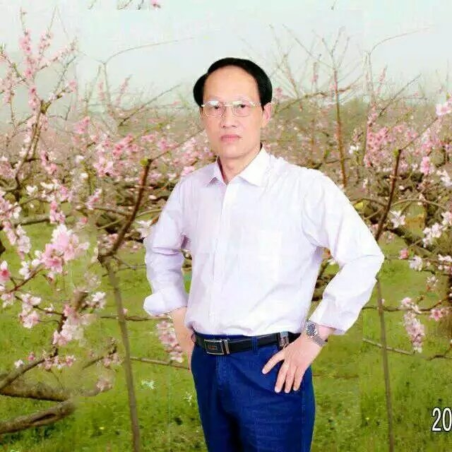 枫叶的第一张照片--宁德相亲网